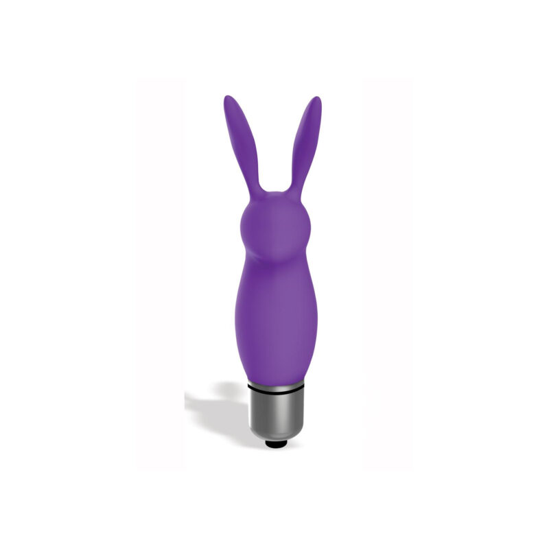 Purple Bunny Bullet Vibrator